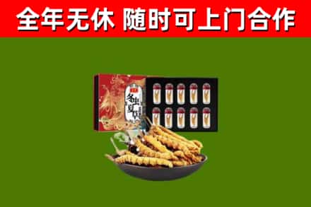 绥芬河回收冬虫夏草价格